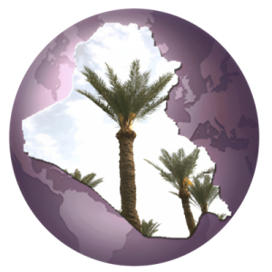 اللجنة العليا لتطوير التعليم في العراق